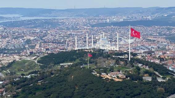 Haartransplantation kosten Türkei​ vs. Deutschland
